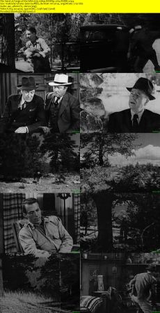 Fangs of the Wild 1939 1080p WEBRip x264-RARBG