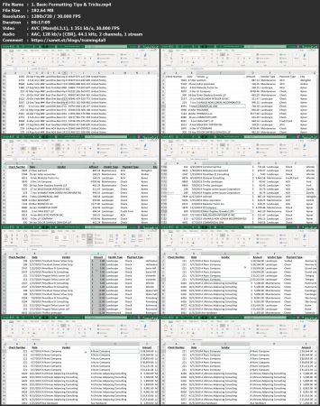 Ultimate Excel Basics Crash Course