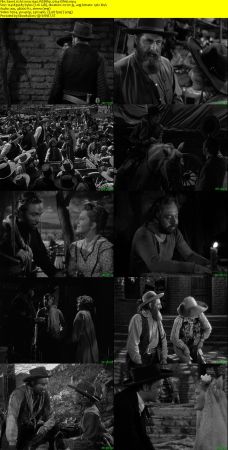 Arizona 1940 WEBRip x264-ION10