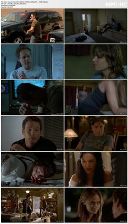 Numb3rs S03 WEBRip 1080p DD5.1 H265-d3g