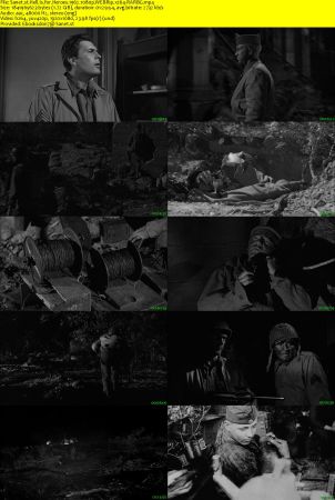 Hell Is for Heroes 1962 1080p WEBRip x264-RARBG