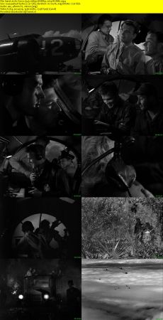 Air Force 1943 1080p WEBRip x264-RARBG