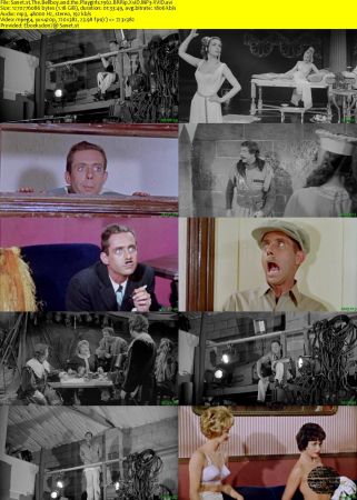 The Bellboy and the Playgirls 1962 BRRip XviD MP3-XVID