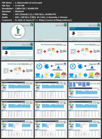 Análisis de datos: Tablas dinámicas, gráficos y vba Excel