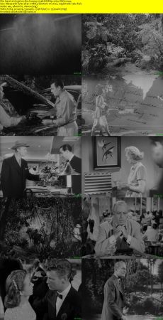 Angel on the Amazon 1948 WEBRip x264-ION10