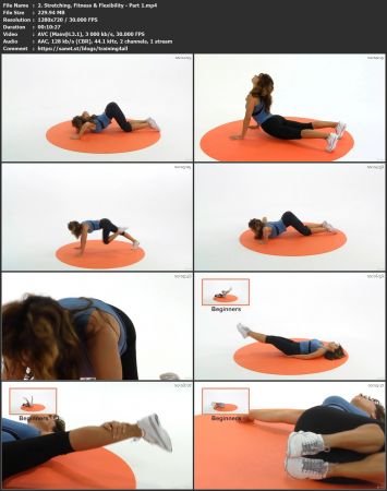 Ultimate Fitness System - Transform Your Fitness & Stretch!