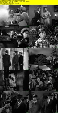 The Fuller Brush Girl 1950 WEBRip x264-ION10