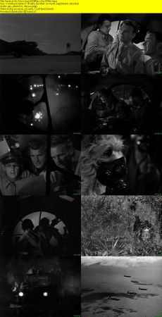 Air Force 1943 WEBRip x264-ION10