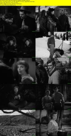 The Call of the Wild 1935 BRRip XviD MP3-XVID