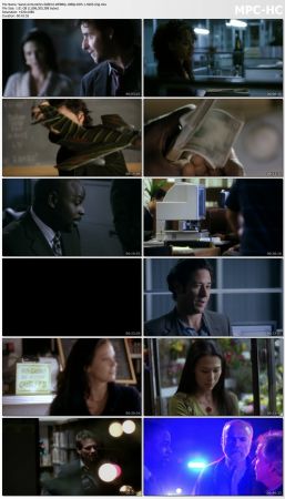 Numb3rs S06 WEBRip 1080p DD5.1 H265-d3g