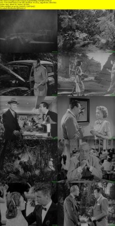Angel on the Amazon 1948 WEBRip XviD MP3-XVID