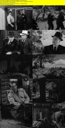 Fangs of the Wild 1939 WEBRip x264-ION10