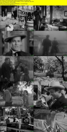 The Farmer Takes a Wife 1935 WEBRip x264-ION10