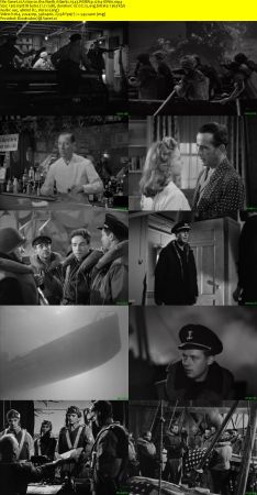 Action in the North Atlantic 1943 WEBRip x264-ION10