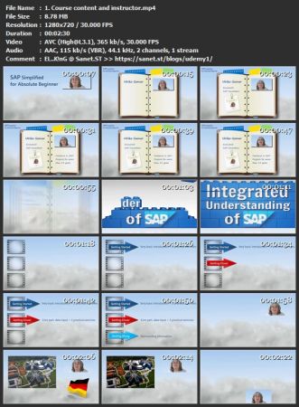 SAP Simplified for Absolute Beginners