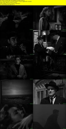 Desire Me 1947 WEBRip XviD MP3-XVID
