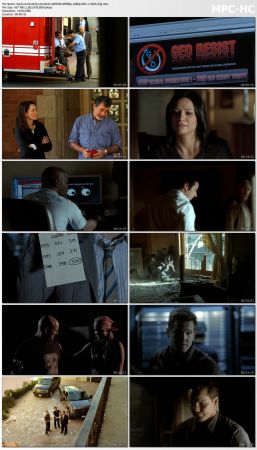 Numb3rs S05 WEBRip 1080p DD5.1 H265-d3g