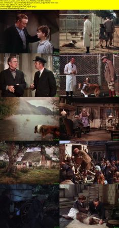 Lassie Come Home 1943 WEBRip XviD MP3-XVID