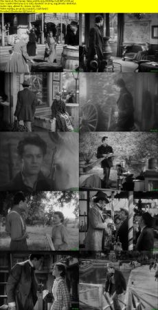 The Farmer Takes a Wife 1935 WEBRip XviD MP3-XVID
