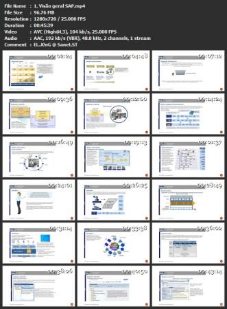 Treinamento SAP - SD| + 30 dias de acesso ao sistema SAP.