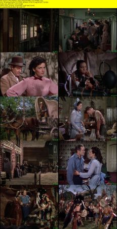 The Paleface 1948 1080p WEBRip x264-RARBG