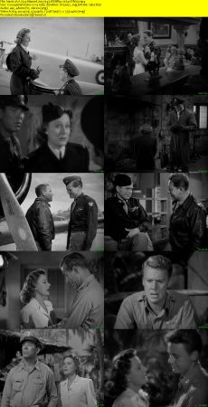 A Guy Named Joe 1943 WEBRip x264-ION10