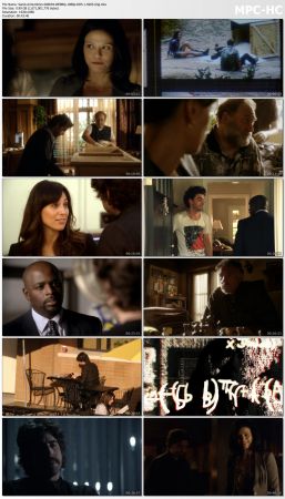 Numb3rs S06 WEBRip 1080p DD5.1 H265-d3g
