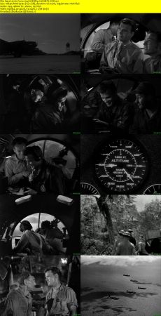 Air Force 1943 WEBRip XviD MP3-XVID