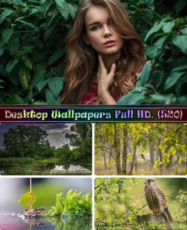 Desktop Wallpapers Full HD. Part (520)