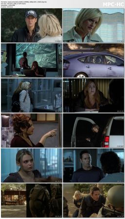 Numb3rs S03 WEBRip 1080p DD5.1 H265-d3g