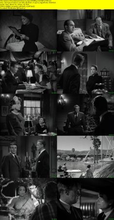 The Damned Dont Cry 1950 WEBRip XviD MP3-XVID