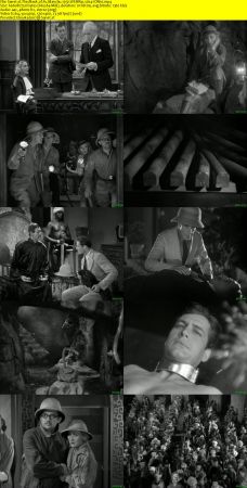 The Mask of Fu Manchu 1932 WEBRip x264-ION10