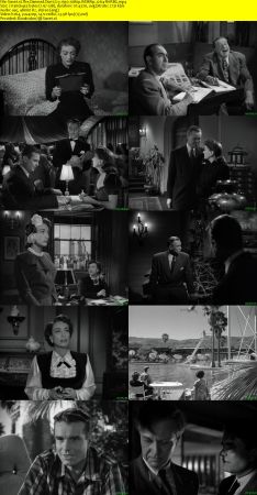 The Damned Dont Cry 1950 1080p WEBRip x264-RARBG