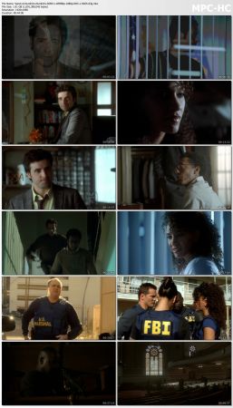 Numb3rs S05 WEBRip 1080p DD5.1 H265-d3g