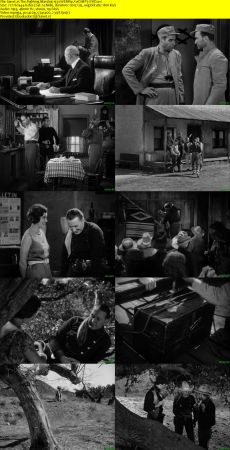 The Fighting Marshal 1931 WEBRip XviD MP3-XVID