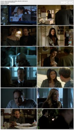 Numb3rs S03 WEBRip 1080p DD5.1 H265-d3g