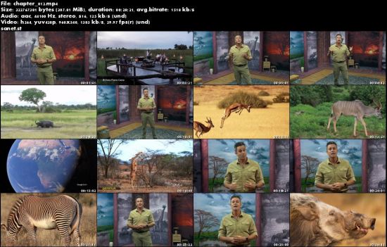 The Great Tours: African Safari (The Great Courses)