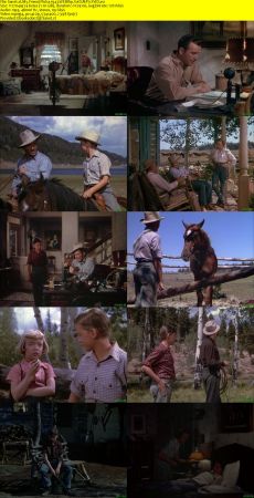 My Friend Flicka 1943 WEBRip XviD MP3-XVID