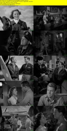 A Guy Named Joe 1943 WEBRip XviD MP3-XVID