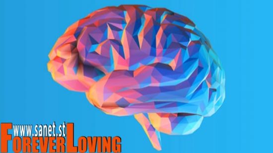 The Complete Rational Emotive Behavior Therapy Course