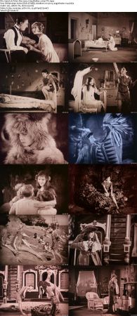 Peter Pan 1924 720p BluRay x264-YTS