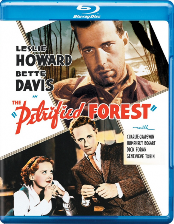 The Petrified Forest 1936 PROPER 720p BluRay H264 AAC-RARBG