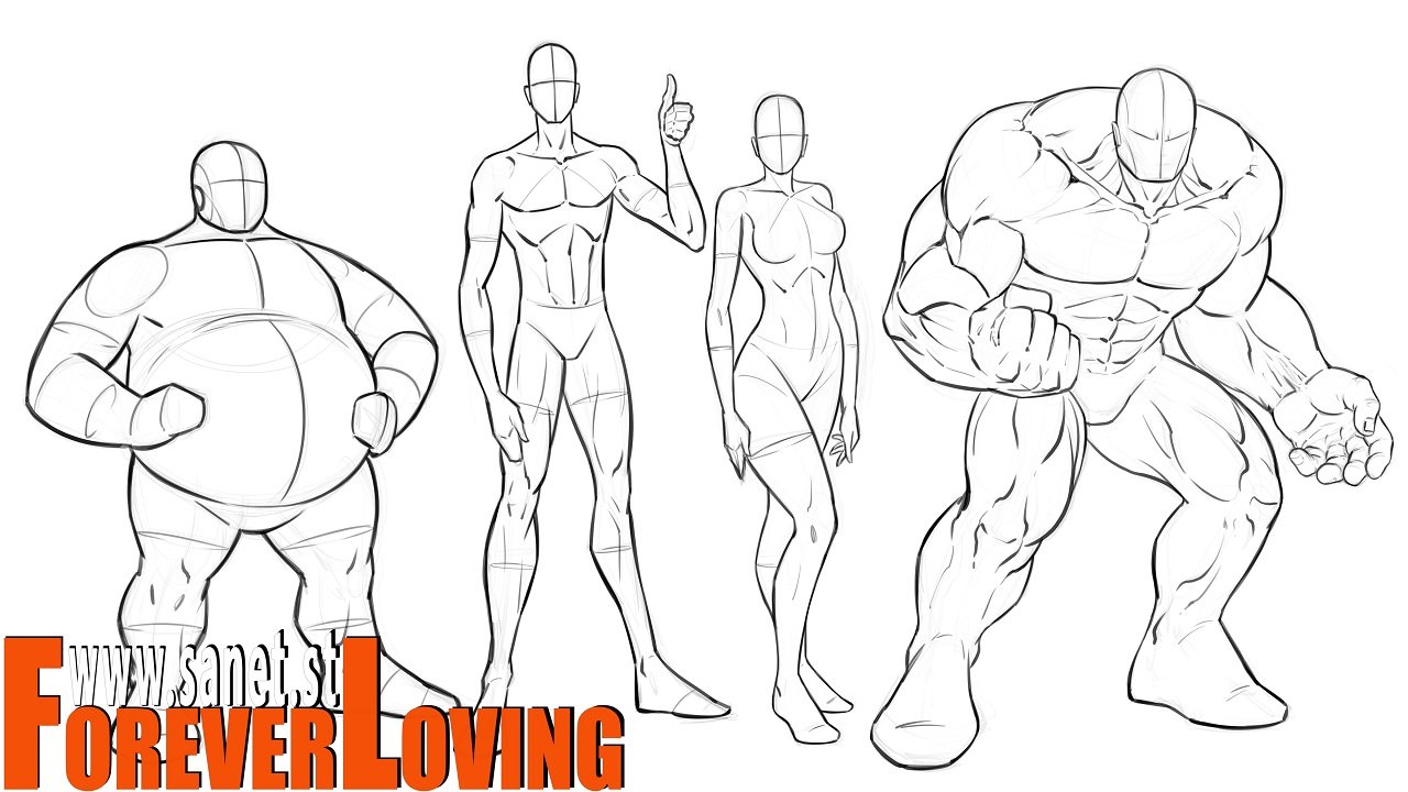 Download How To Draw Various Body Types And Proportions For Comics Softarchive