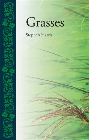 Grasses by Stephen Harris