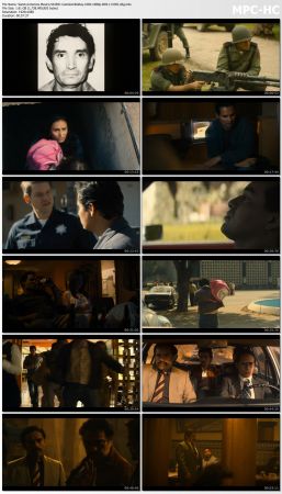Narcos Mexico S01 BluRay 10bit 1080p DD5.1 H265-d3g