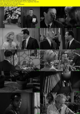 Days of Wine and Roses 1962 BRRip XviD MP3-XVID