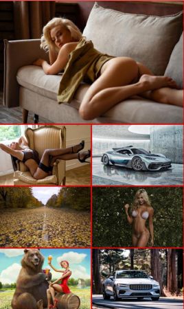 Widescreen Wallpapers for your desktop #211