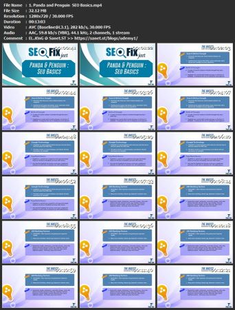 Learn How To Recover From Google Panda and Penguin - SEO Fix