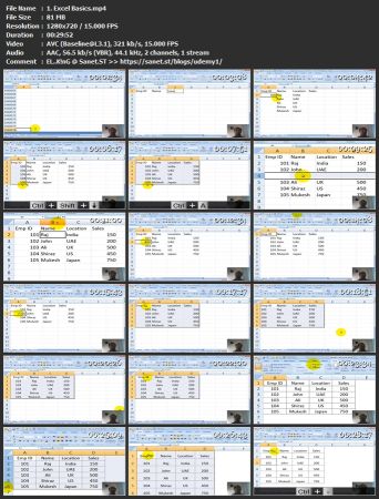 Microsoft Excel Training - Beginner to Advanced Level