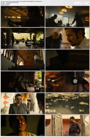 Narcos Mexico S01 BluRay 10bit 1080p DD5.1 H265-d3g